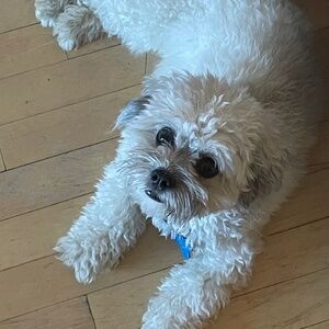 Meet your Posher, Marie-pier